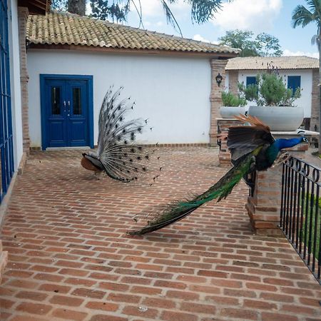 Hotel Fazenda Sao Silvano Morungaba Exterior photo