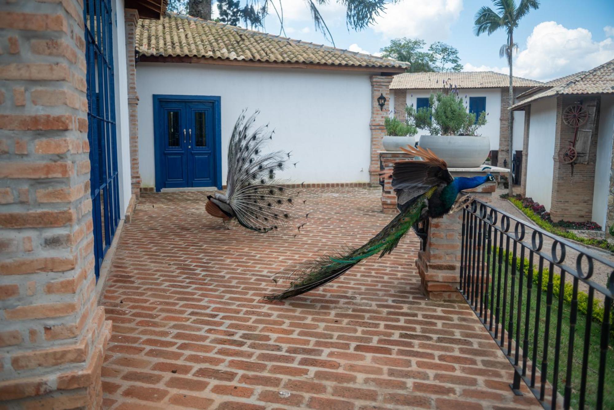 Hotel Fazenda Sao Silvano Morungaba Exterior photo