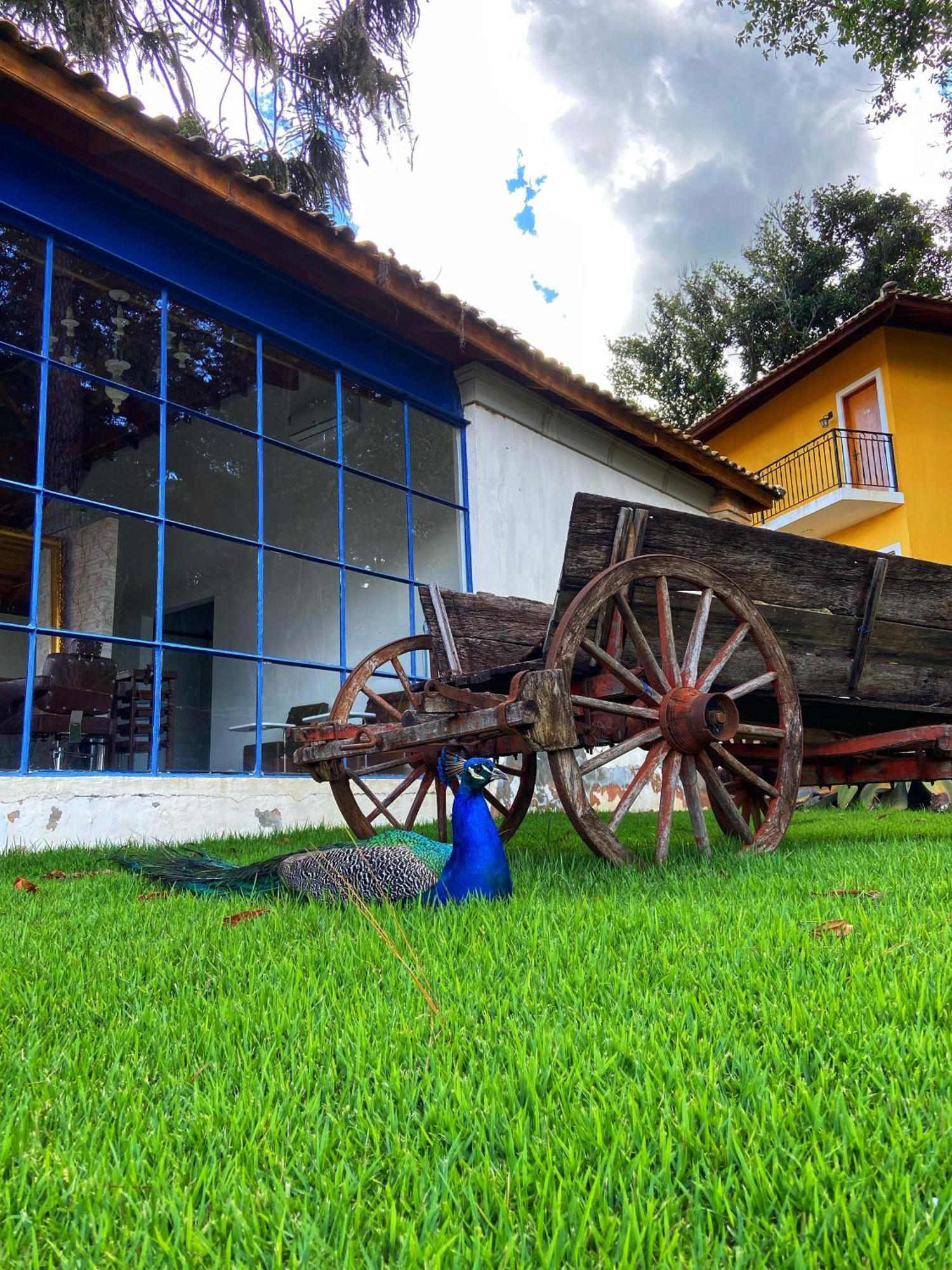 Hotel Fazenda Sao Silvano Morungaba Exterior photo